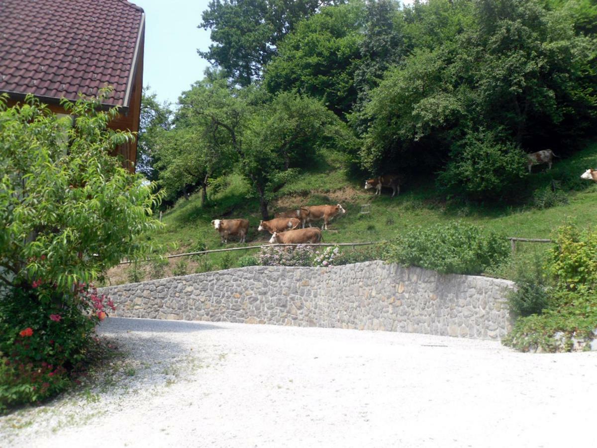 Apartmaji Hribar Pr'Ostank Kamnik Exterior foto